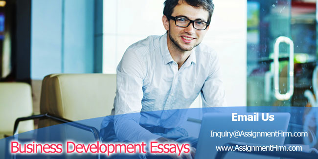 Business Development Essays 