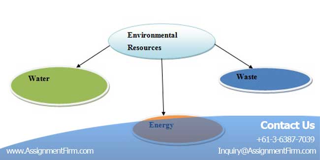 Environmental Sustainability Assignment