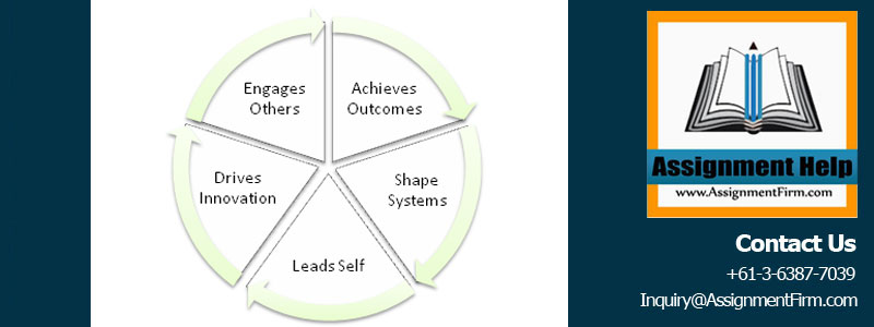 Health Leadership Framework