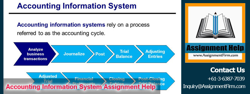 Accounting Information System Assignment Help 