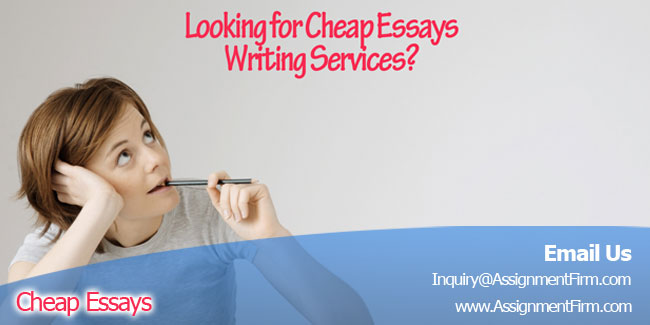 Essays for cheap