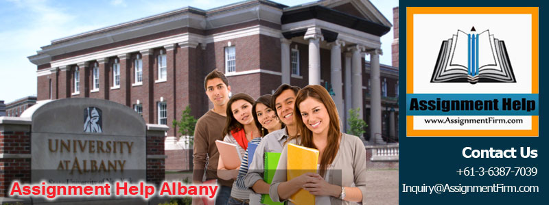 Assignment Help Albany