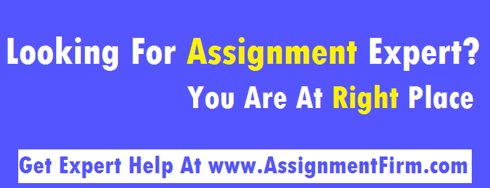 online assignment expert login