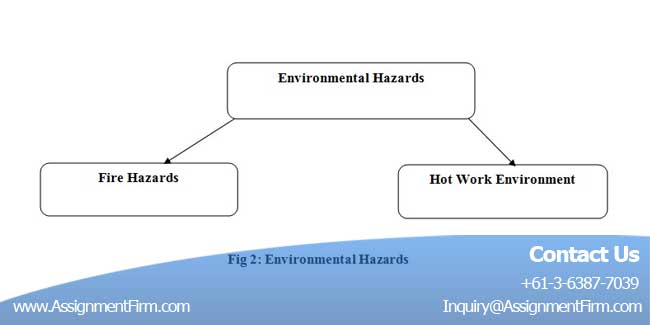 Environmental Sustainability Assignment