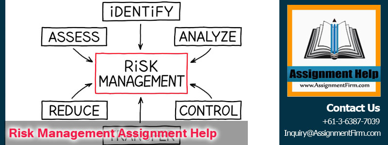 assignment on risk management