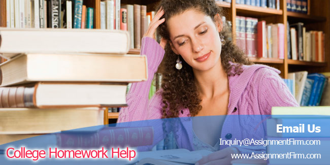 College Homework Help on Demand