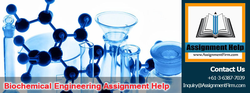 Biochemical Engineering Assignment Help