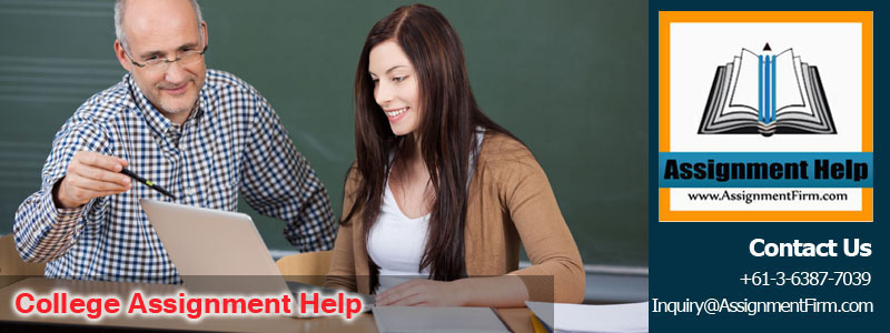 College Assignment Help