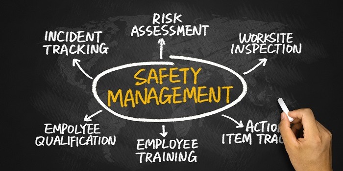 BUS700 Organisation and Safety Management (INDG 417)
