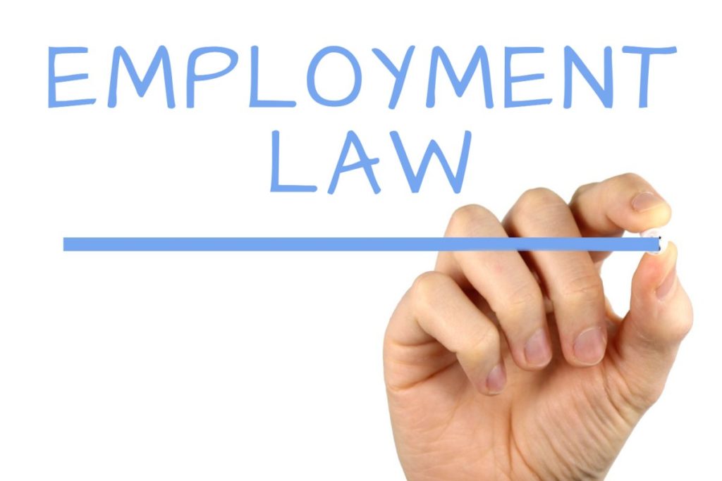 BUSM4591 Employment Law Assignment