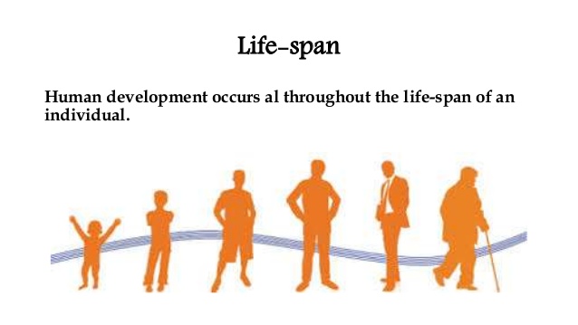 400505 Lifespan Development And Human Services 