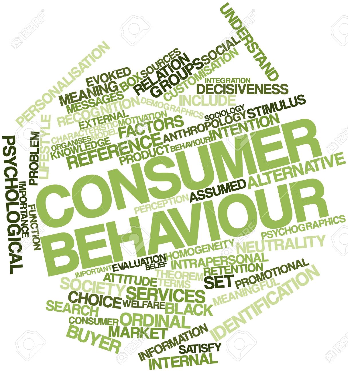 consumer behavior individual assignment