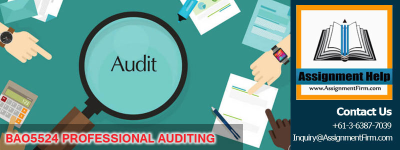 BAO5524 PROFESSIONAL AUDITING