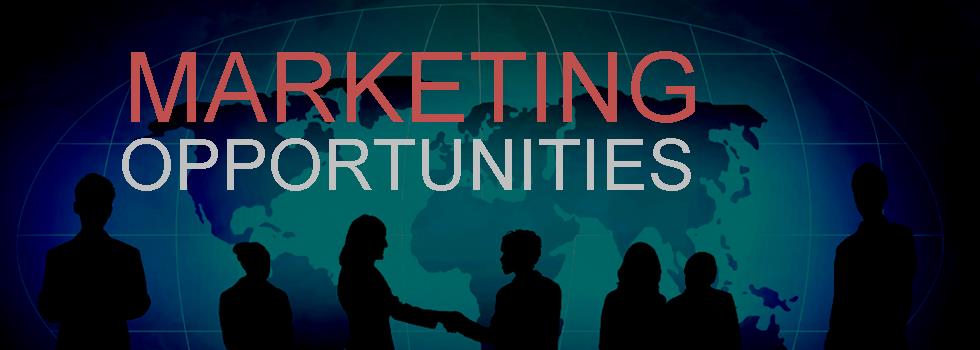 BSBMKG501 Identify And Evaluate Marketing Opportunities