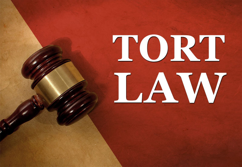 What Is A Tort Law Case