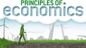 MAE101 Economic Principles