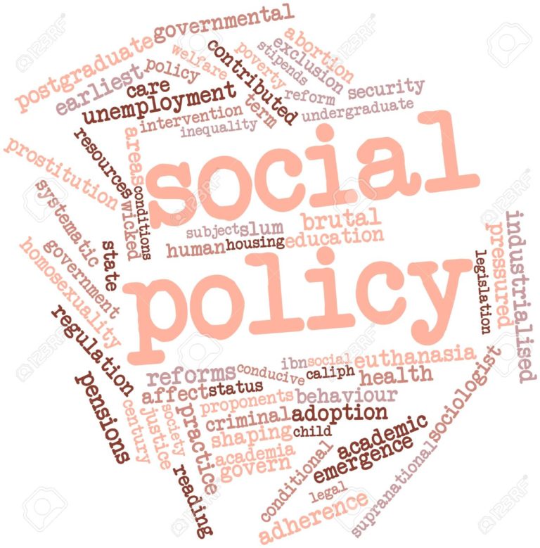 essay on social policy