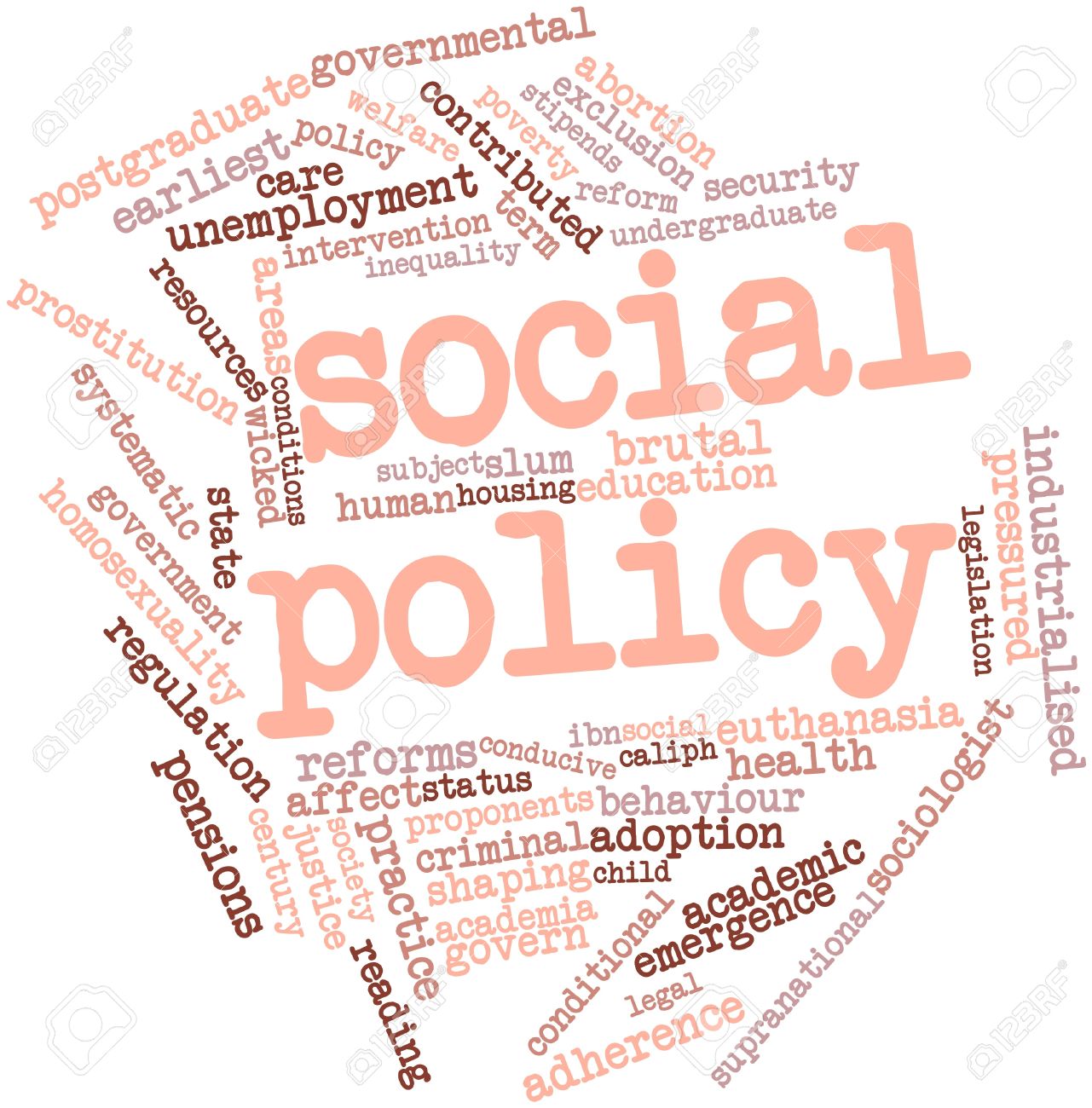 why is social policy important essay