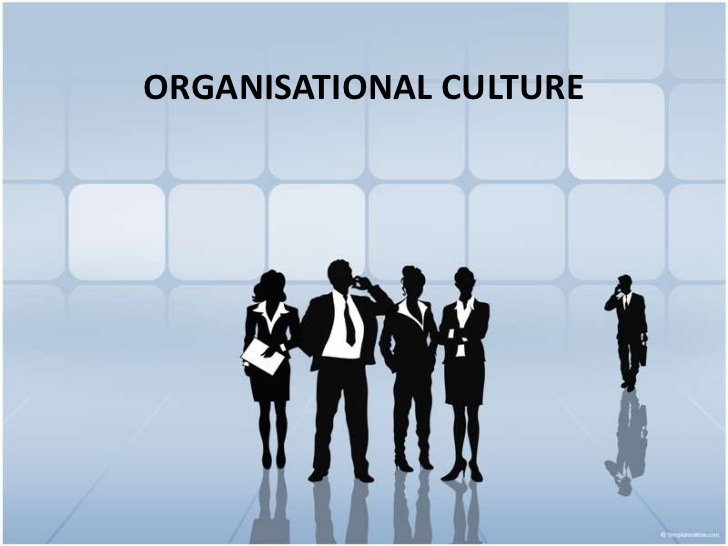 MSWPG7212 Organisational Culture And Management
