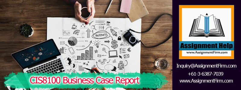 CIS8100 Business Case Report