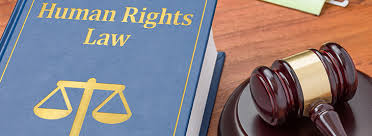 JUST2004 Human Rights Law Essay-Minnesota University United States.
