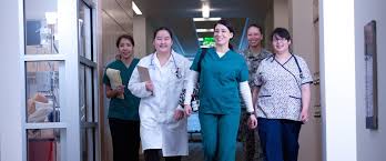 NURS1008 Nursing Indigenous Health And Cultural Safety Essay-Flinders University Australia.