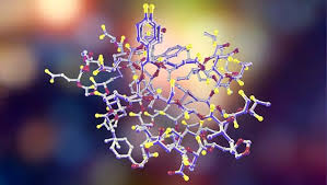 BIOL122 Human Biological Science 2 Assignment 2 - Australian Catholic University.