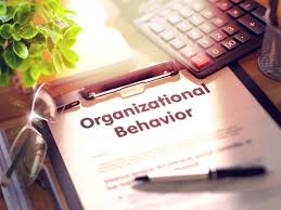 MAS264 Organizational Behavior Assignment - Knust School of Business Ghana. 