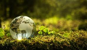 CSE1SPX Research Essay Sustainability Practices Assignment 2 - Australia.
