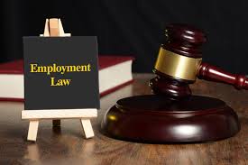 Contemporary Issues In Employment Law BUSM4591 Assessment 2 - RMIT University AU.