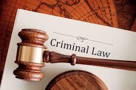 LAW162 Criminal Law Hypothetical Assignment - Australia. 