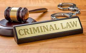 LAW162 Criminal Law Hypothetical Assignment - Australia.