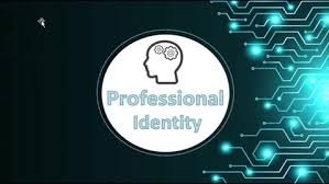Professional Identity NUR1202 Essay Assignment 3 - Australia.