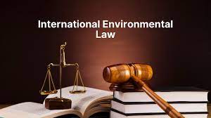 7506LAW International Environmental Law Essay - Griffith University Australia