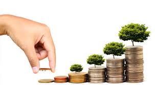 BSBFIM801 Manage Financial Resources Assignment - Australia.
