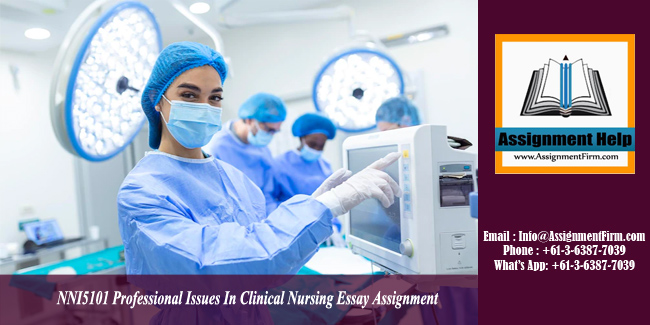 NNI5101 Professional Issues In Clinical Nursing Essay Assignment - Australia