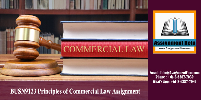 BUSN9123 Principles of Commercial Law Assignment